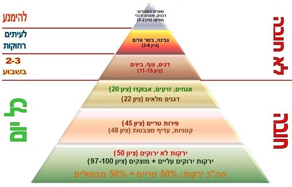 אירינה גלוזמן בריאות בקלות אימון אמהות עסוקות לתזונה טבעית בכיף ובקלות פירמידת המזון הנכונה